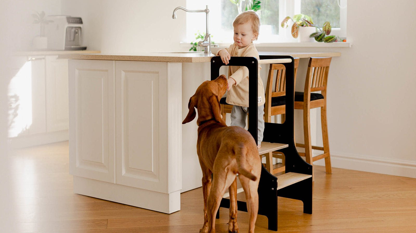 How to Care for Wooden Toys and Furniture — Tips to Make Them Last for Years - Duck Woodworks