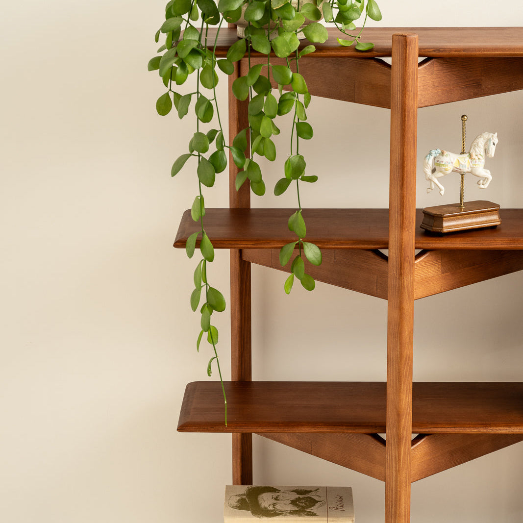 Wooden bookshelf with a plant and books against a plain wall