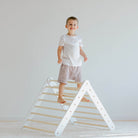 Climbing Triangle - Duck Woodworks