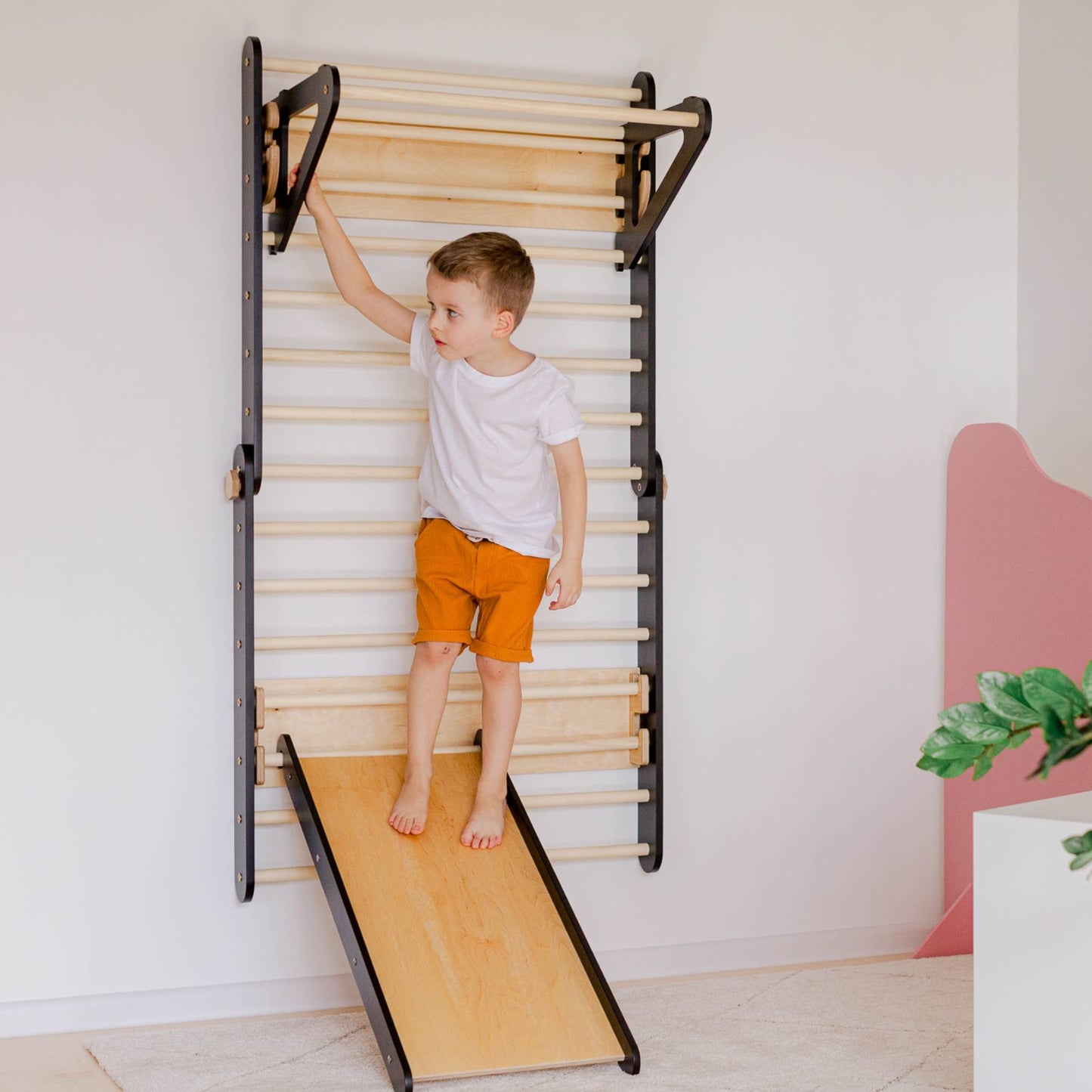 Climbing Triangle - Swedish Ladder set with a slide - Duck Woodworks