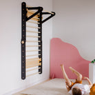 Climbing Triangle - Swedish Ladder set - Duck Woodworks